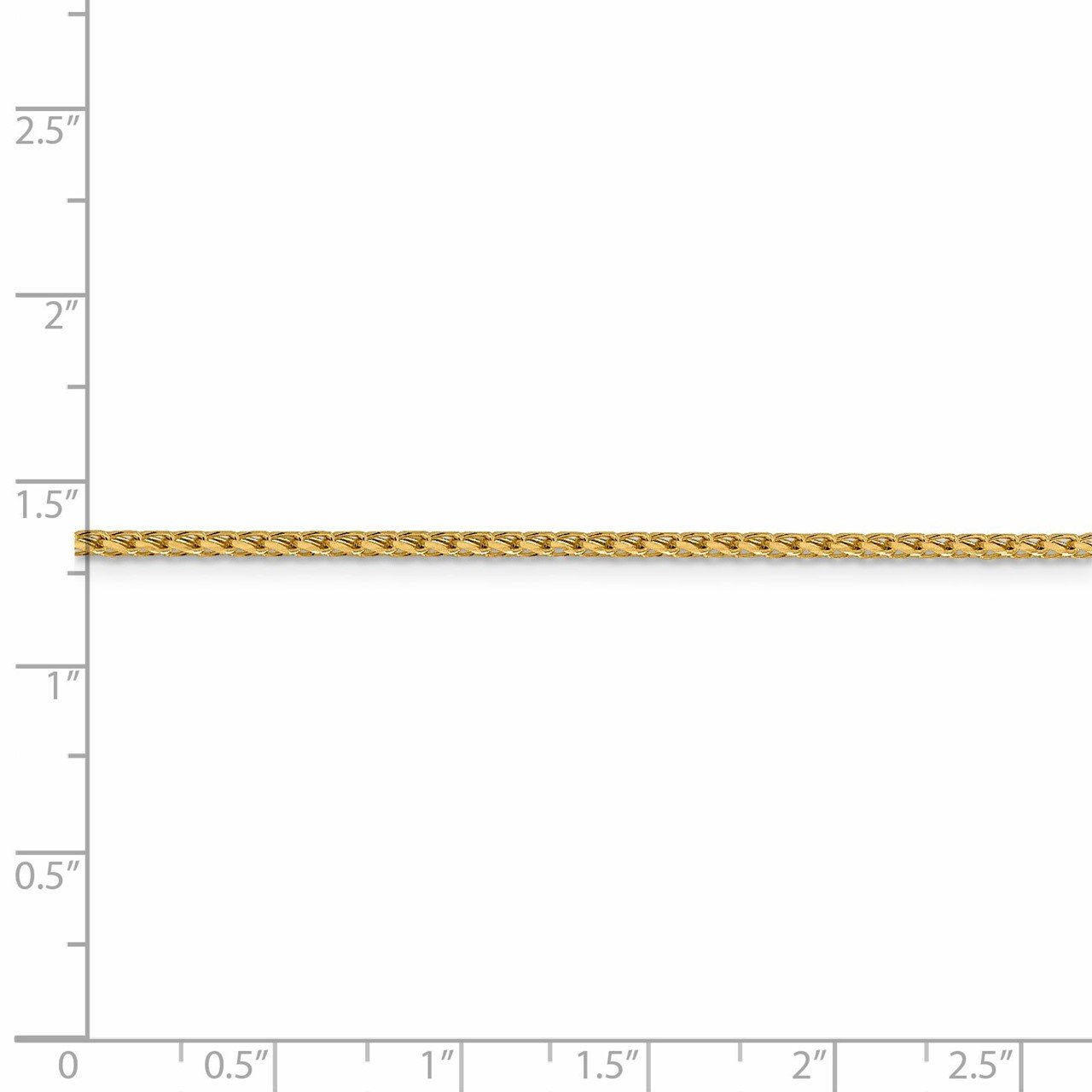 Leslie's 14K 1.6mm D/C Open Franco Chain-4