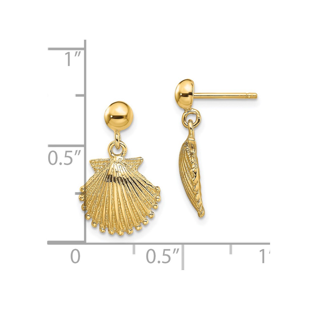 14K Polished Scallop Shell Dangle Earrings-2