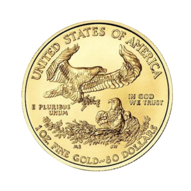 1 Oz American Eagle Coin