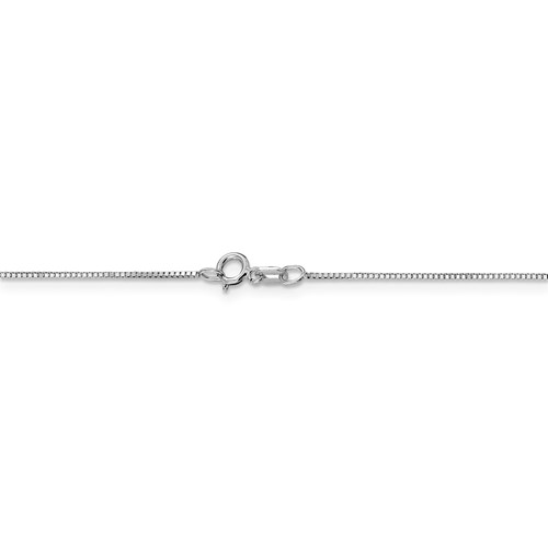 Leslie's 14K White Gold .8mm Box with Spring Ring Clasp Chain-2