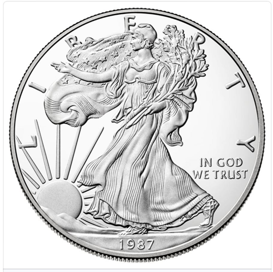 1 Oz  American Eagle Silver Coin